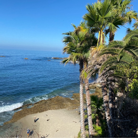 Meet your Posher, Penny - Picture 1 of 1